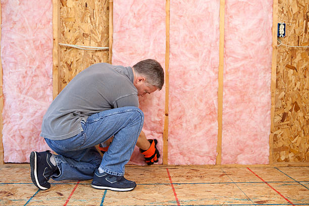 Best Geographic-Specific Insulation Services in Waldorf, MD